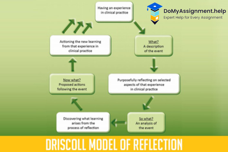 Driscoll-Model of Reflection